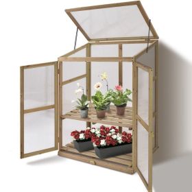 30 x 22 x 43 Inch Garden Portable Wooden Greenhouse