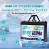 12V 100Ah 1280Wh LiFePO4 Battery 6000+ Cycles With Smart BMS Grade A lithium Pack For Home Energy EU Stock