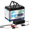 12V 100Ah 1280Wh LiFePO4 Battery 6000+ Cycles With Smart BMS Grade A lithium Pack For Home Energy EU Stock